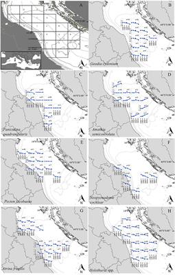 Local Ecological Knowledge Indicates Temporal Trends of Benthic Invertebrates Species of the Adriatic Sea